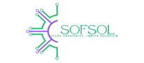 final logopic sofsol copy